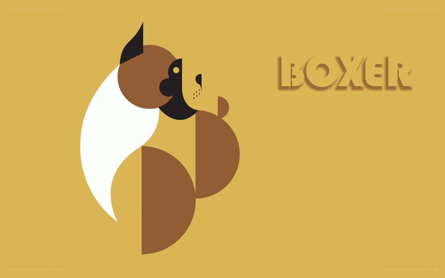 geometric boxer dog illustration
