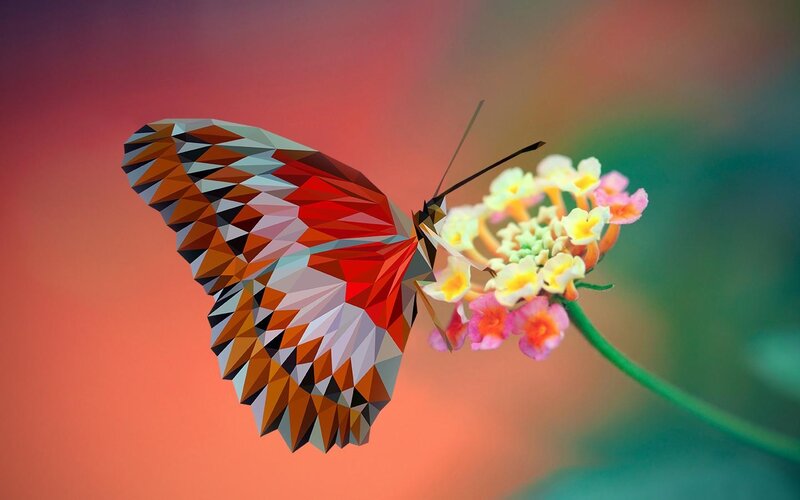 Geometric Butterfly on Flower