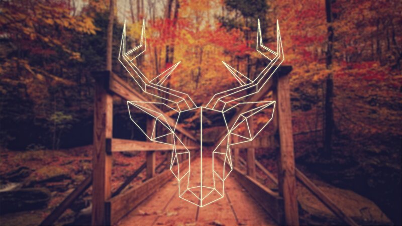 Geometric Deer Head — Orange