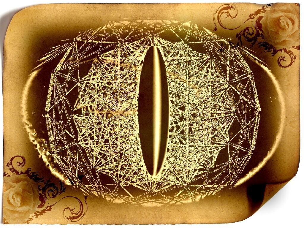 geometric eye with roses