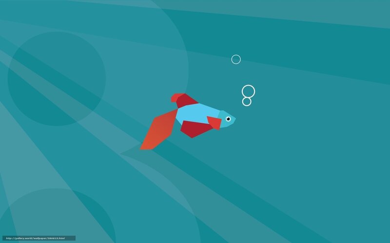 Geometric Fish Swimming