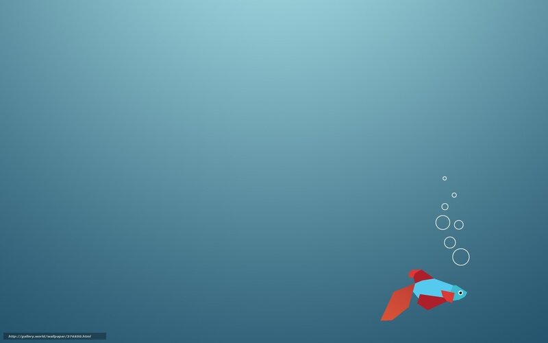 Geometric Fish with Bubbles