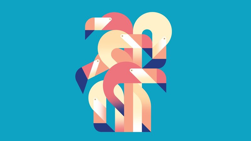 Geometric Flamingos
