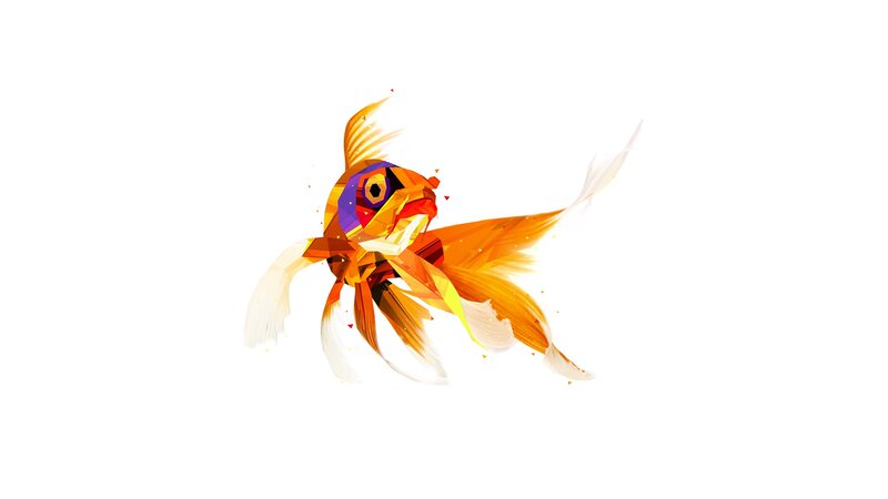 Geometric Goldfish