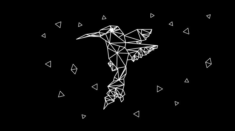 Geometric Hummingbird