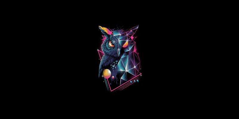 Geometric Owl Illustration — Black