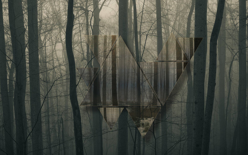 Geometric Pattern in Forest