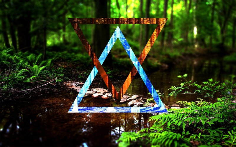 Geometric Shapes in Forest