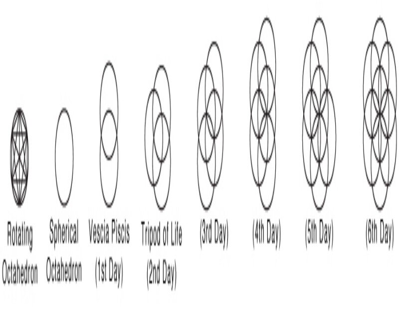 Geometric Shapes Sequence