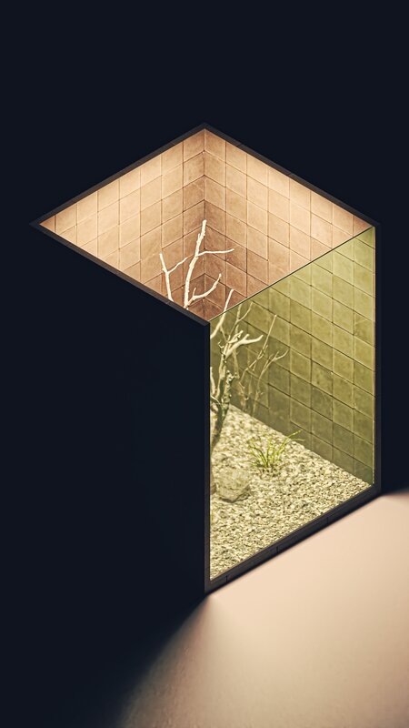 Geometric Terrarium