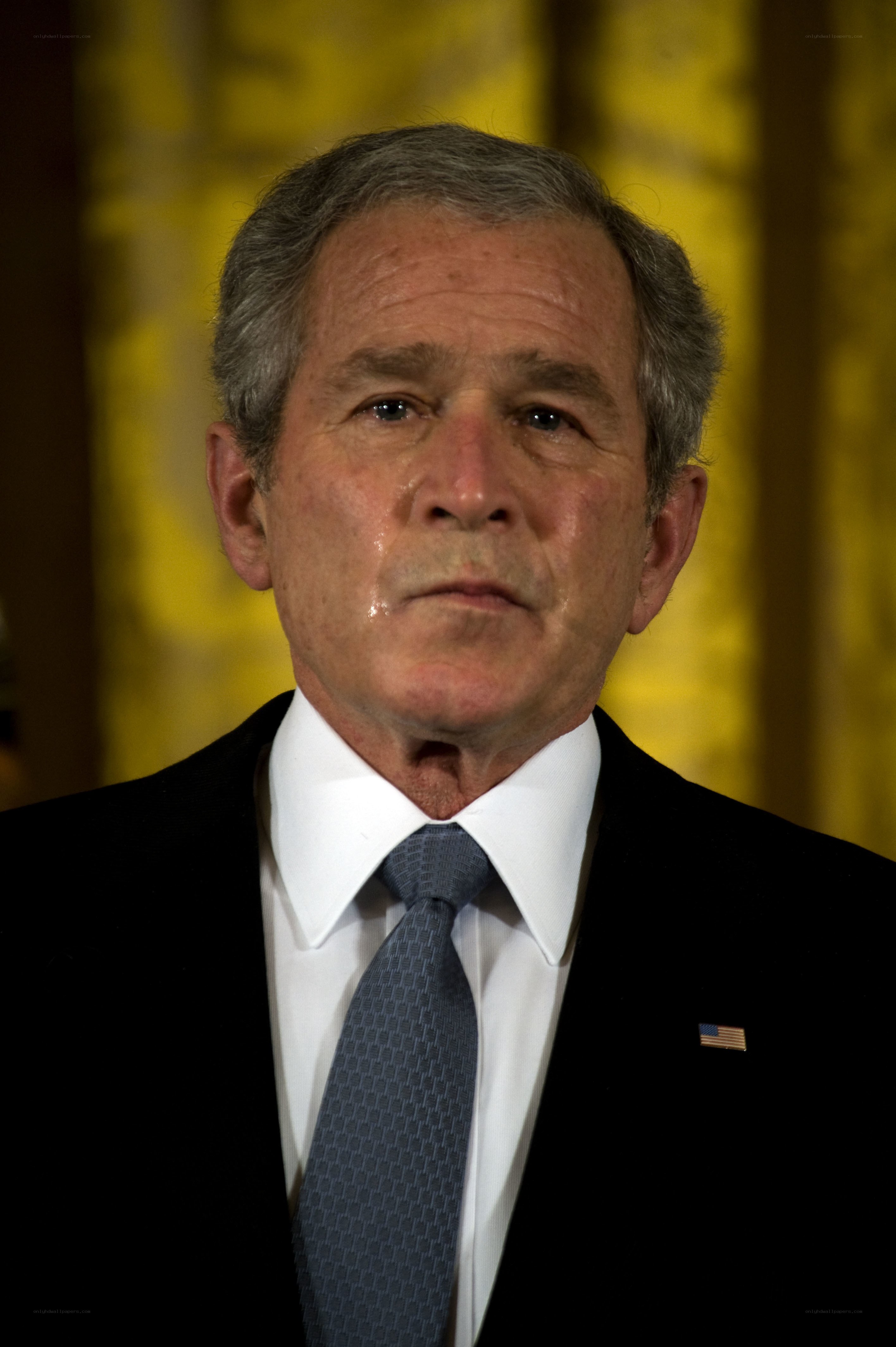 George W. Bush portrait