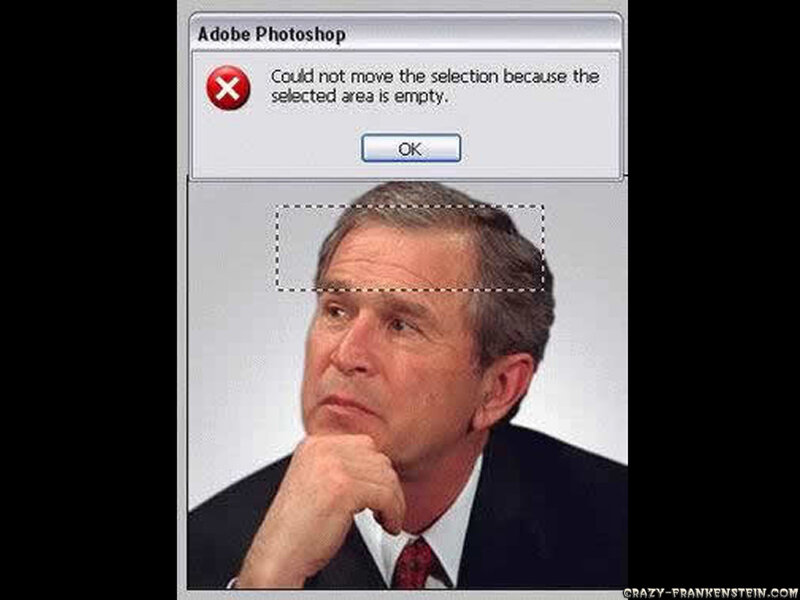 George W. Bush Portrait — White