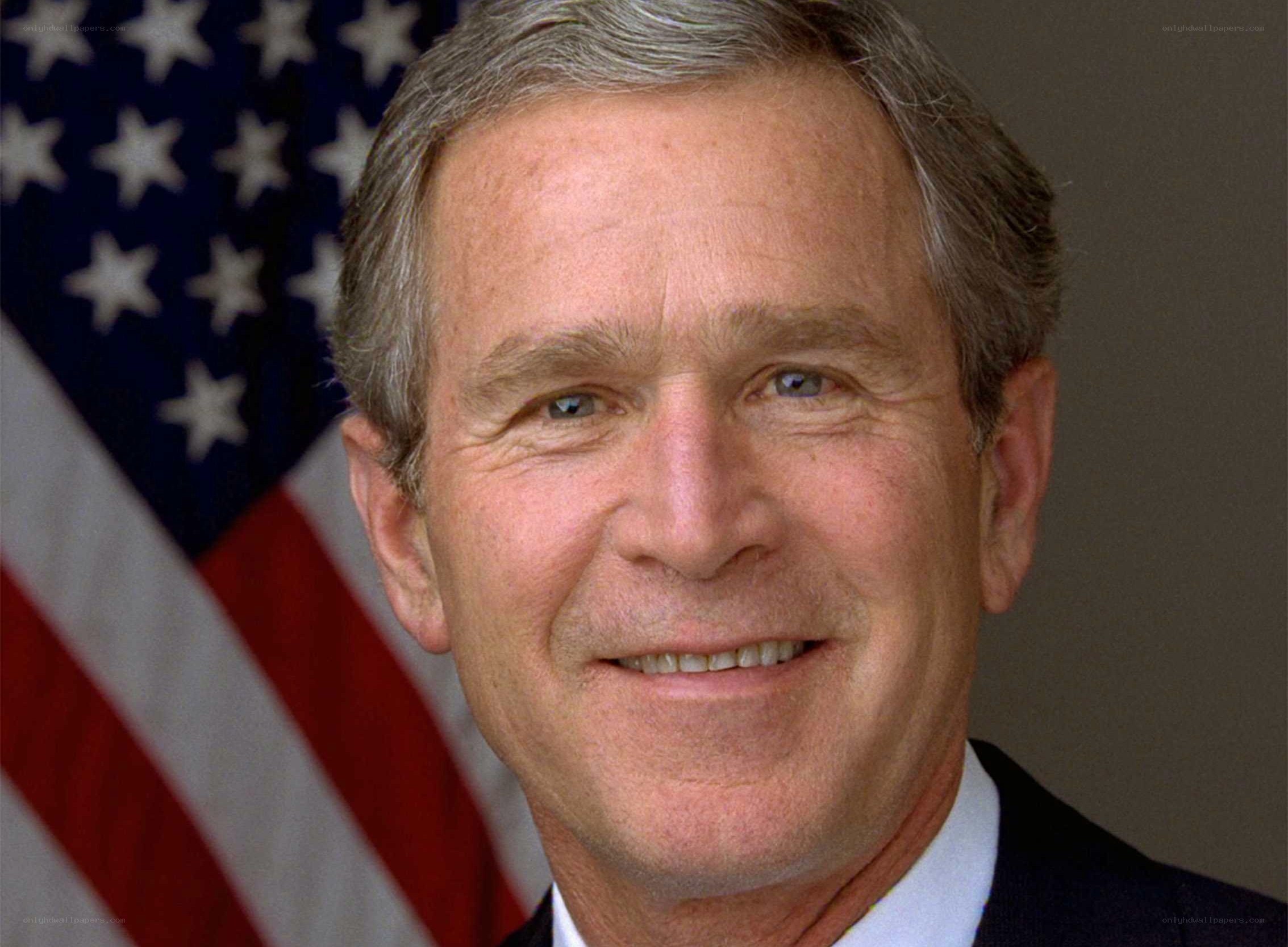 George W. Bush portrait