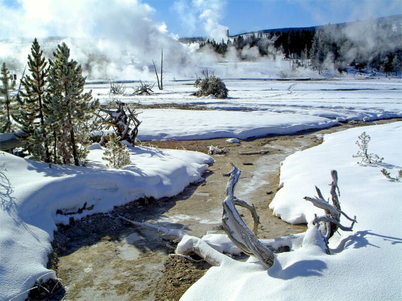 Geothermal Area in Winter