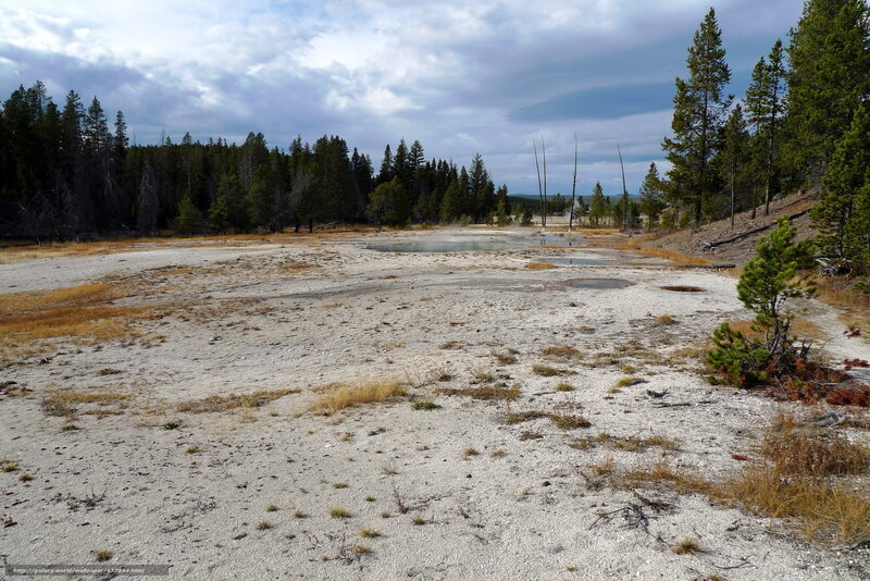 Geothermal area in Yellowstone