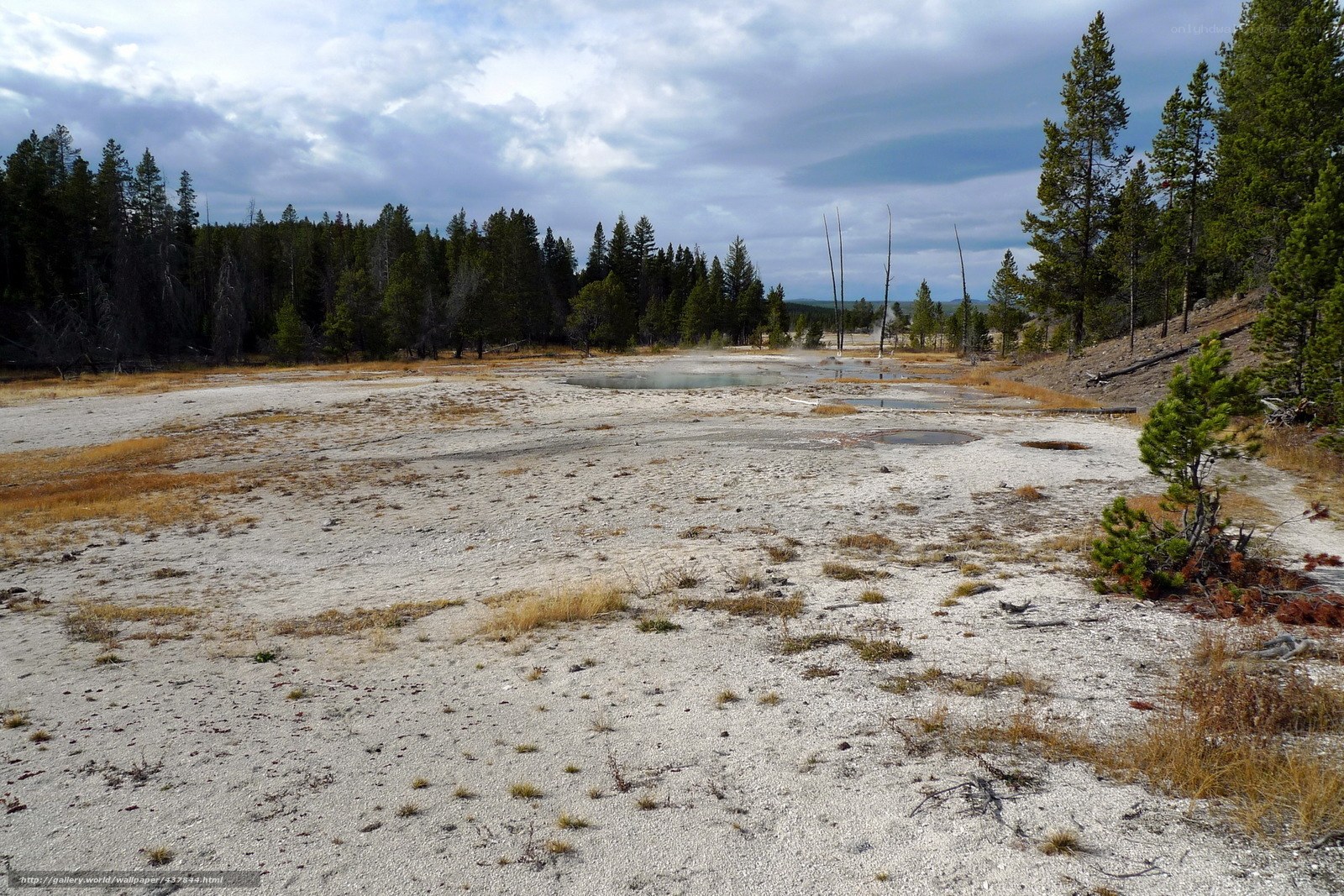 Geothermal area in Yellowstone
