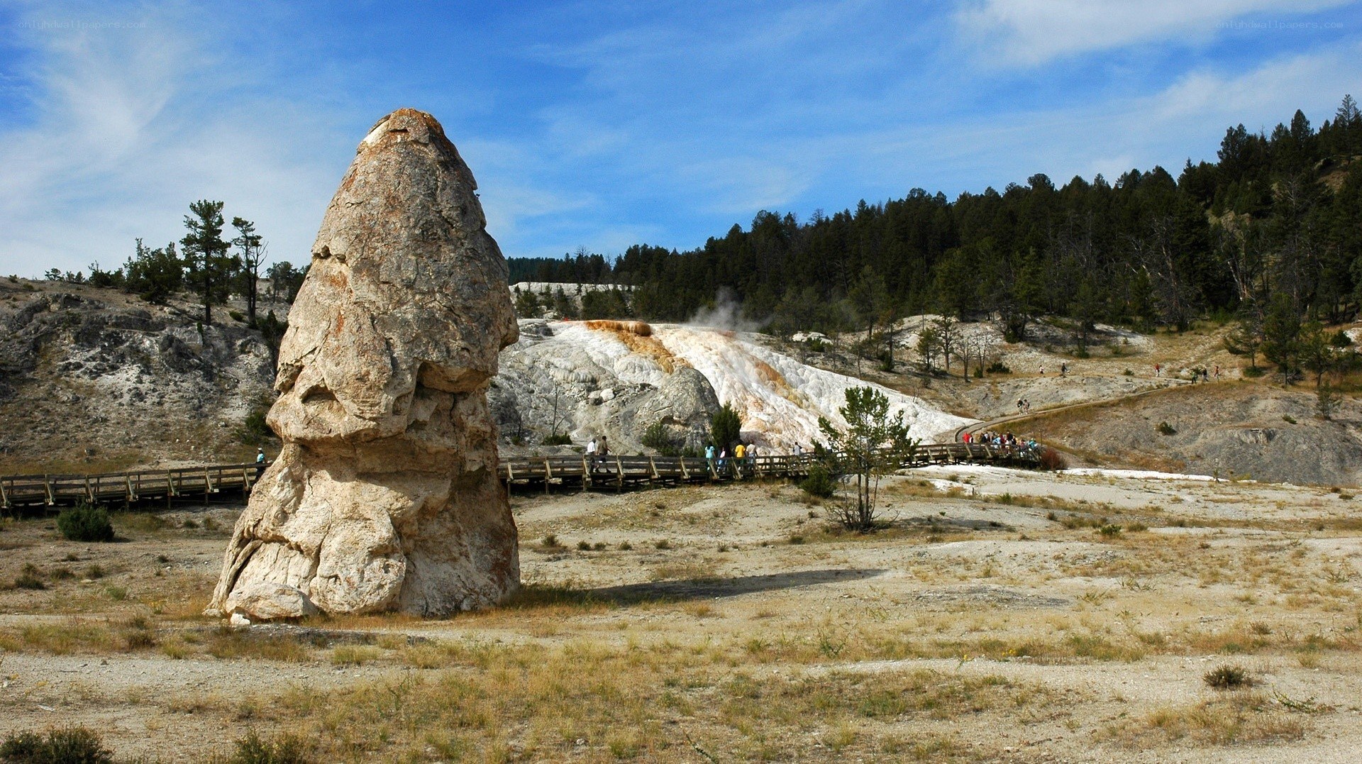 Geothermal area with geyser