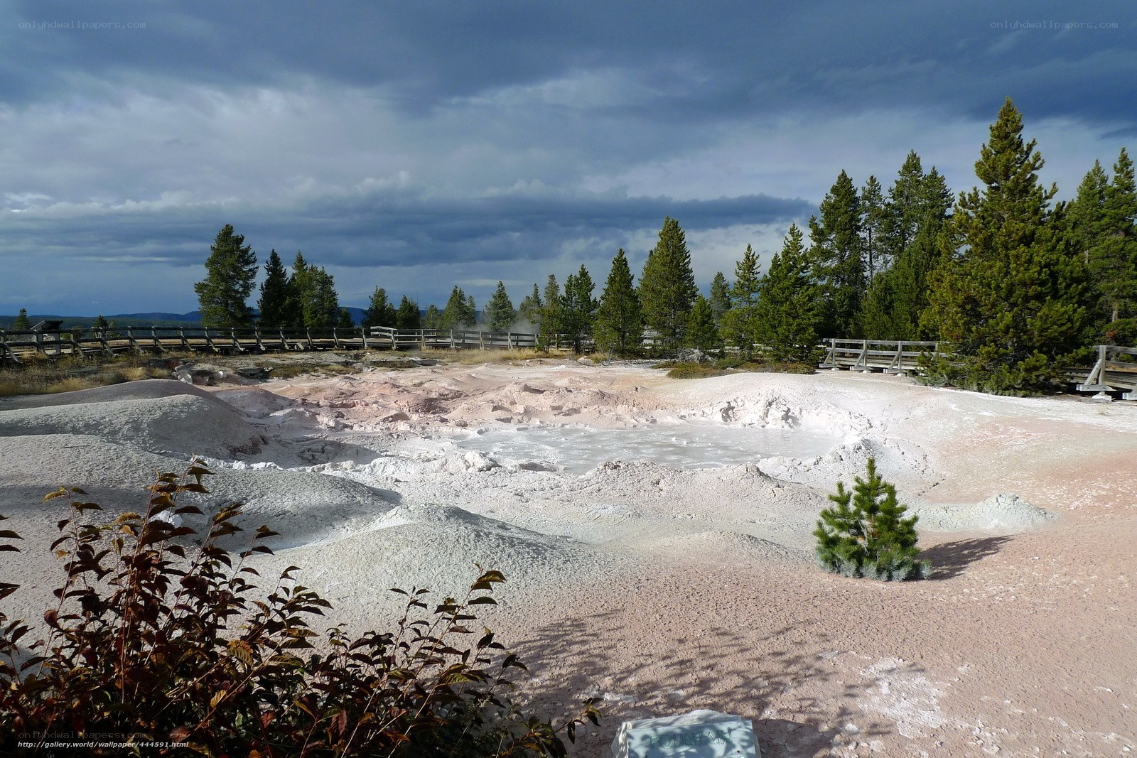 geothermal area with steam vents