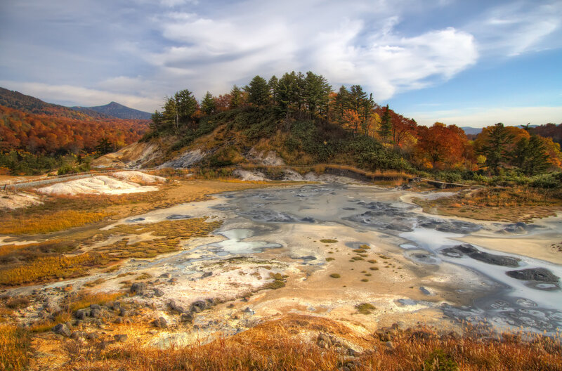 Geothermal Field with Autumn Trees