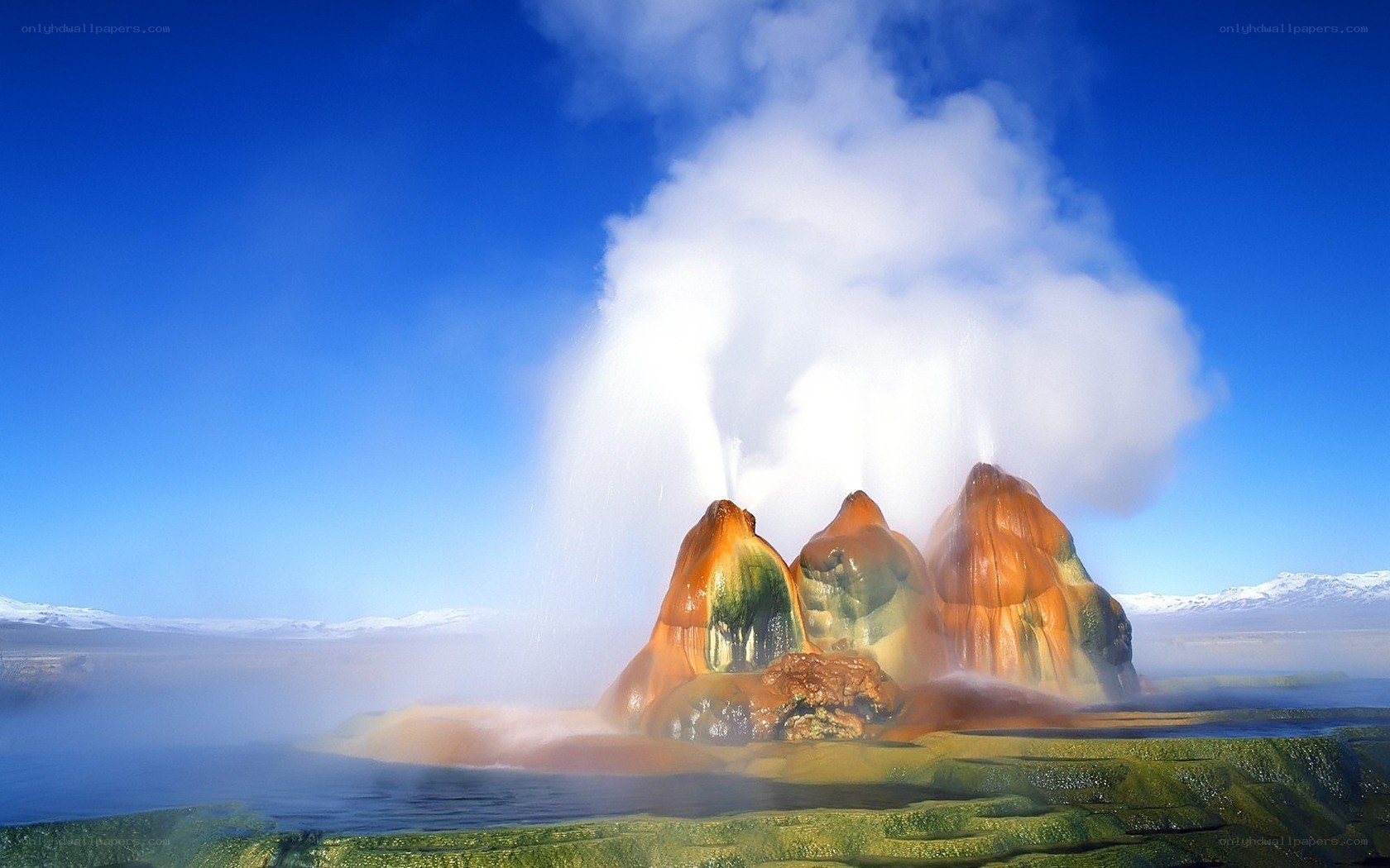Geothermal geyser erupting