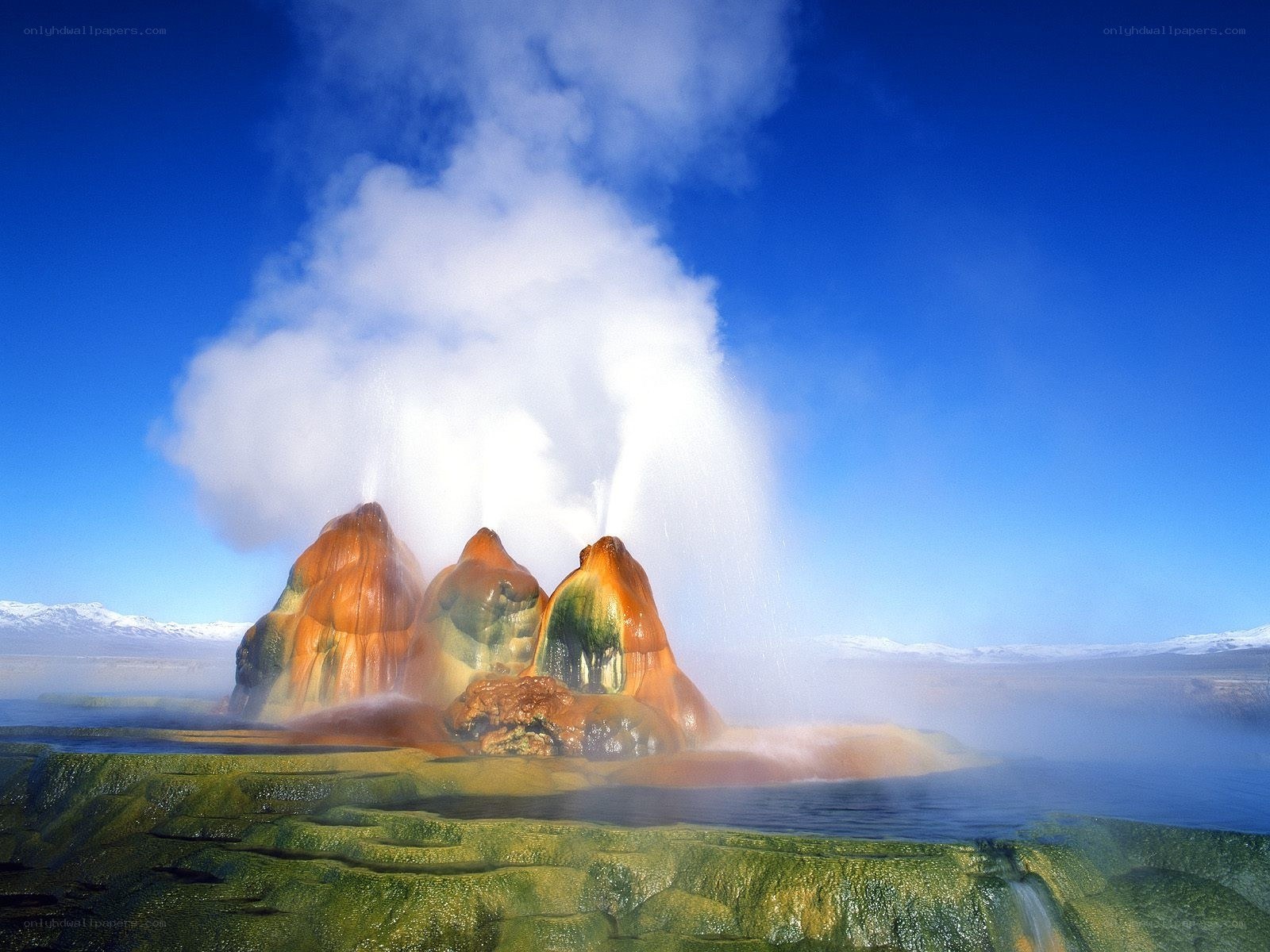 Geothermal geyser erupting