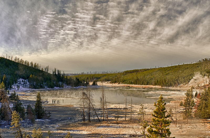 Geothermal Pond in Forest