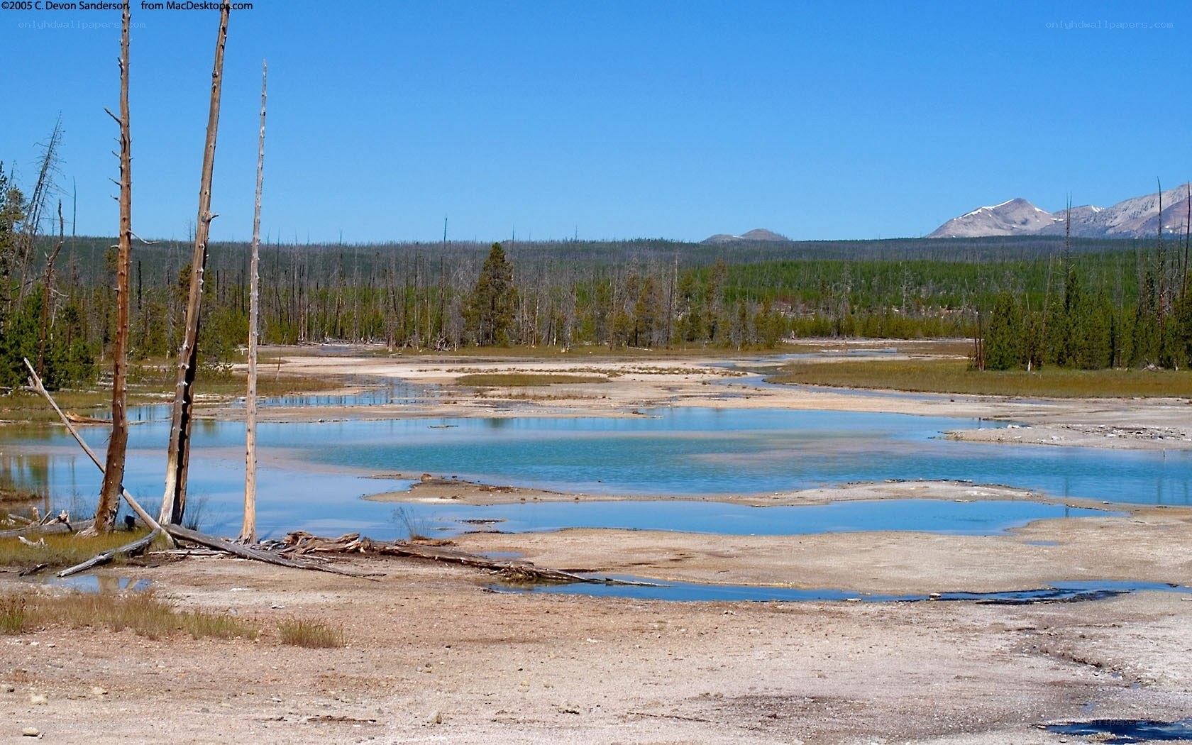 geothermal pond in yellowstone