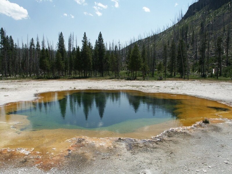 geothermal pool in forest