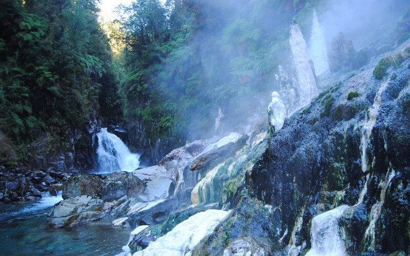 Geothermal River in Forest
