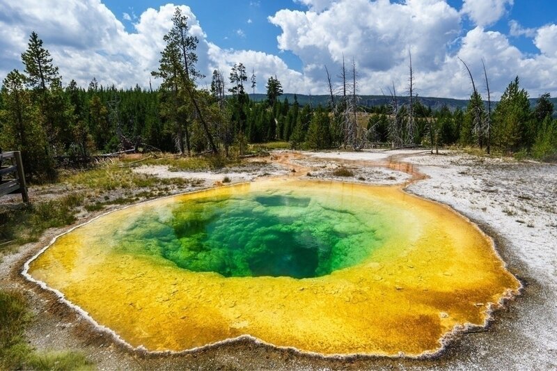 Geothermal Spring — Green, Serene