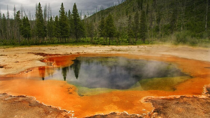 geothermal spring in forest