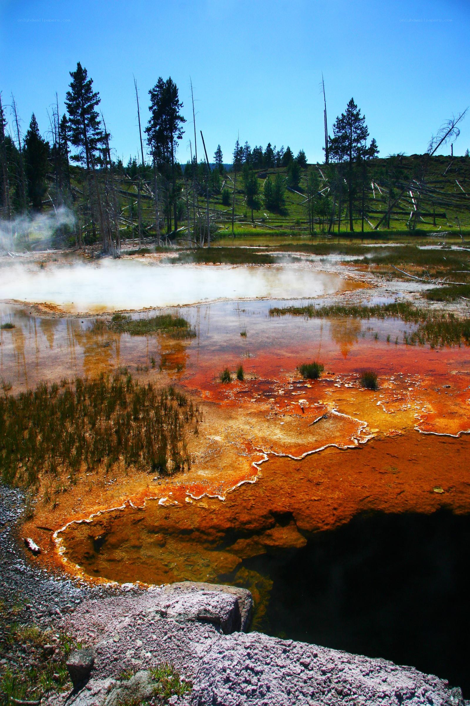 geothermal spring in yellowstone