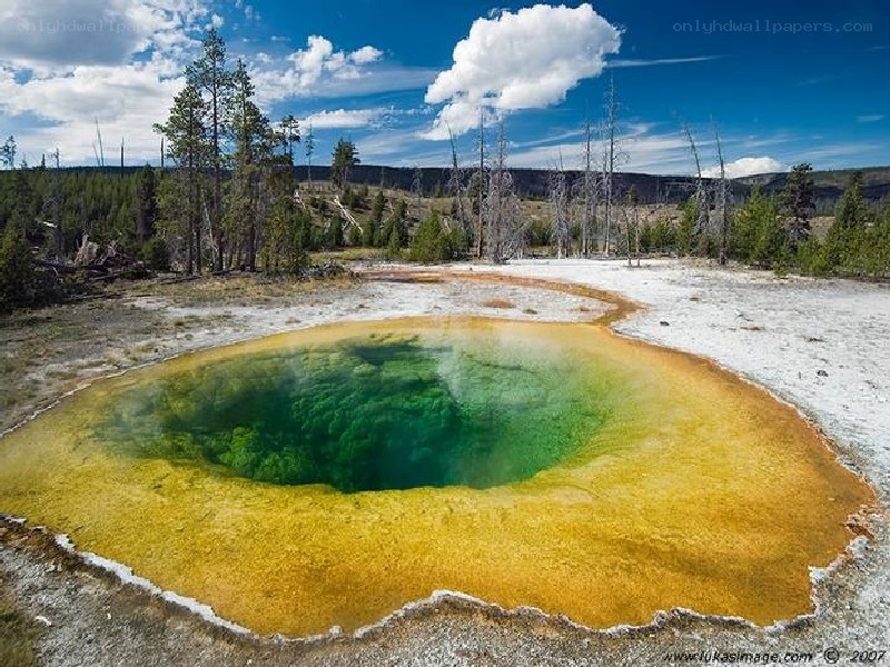 geothermal spring in yellowstone