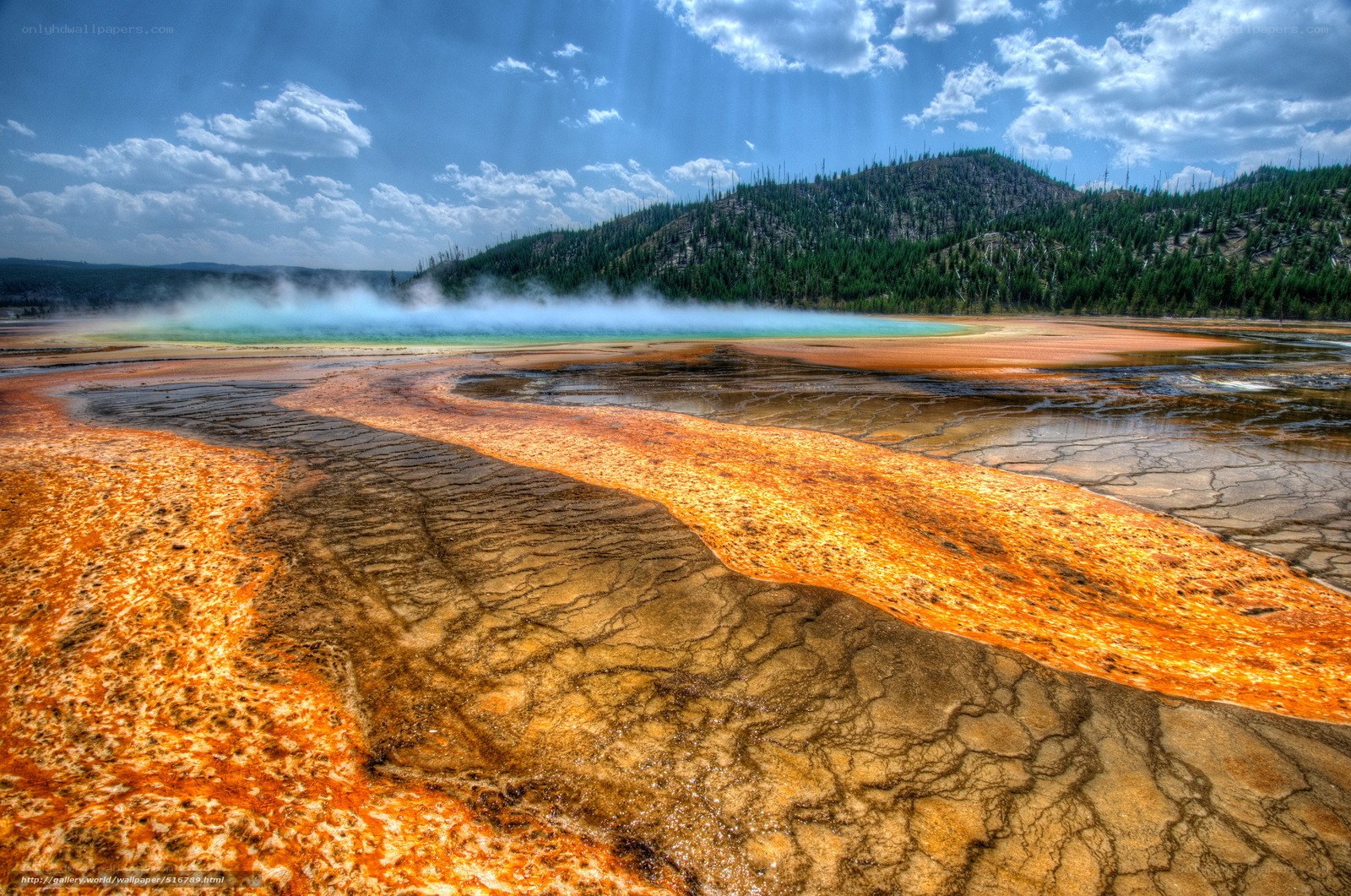 Geothermal spring landscape
