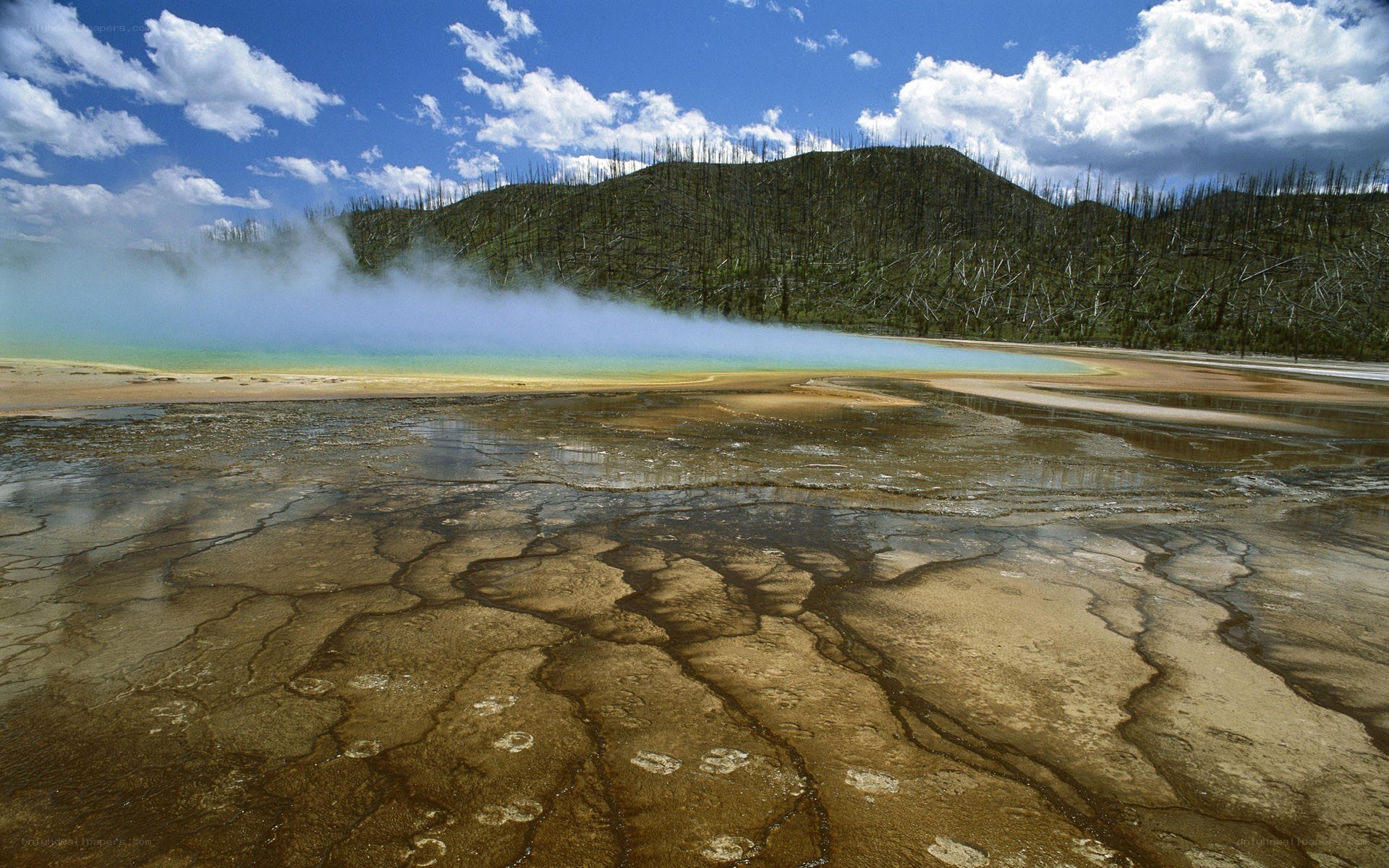 geothermal spring with steam