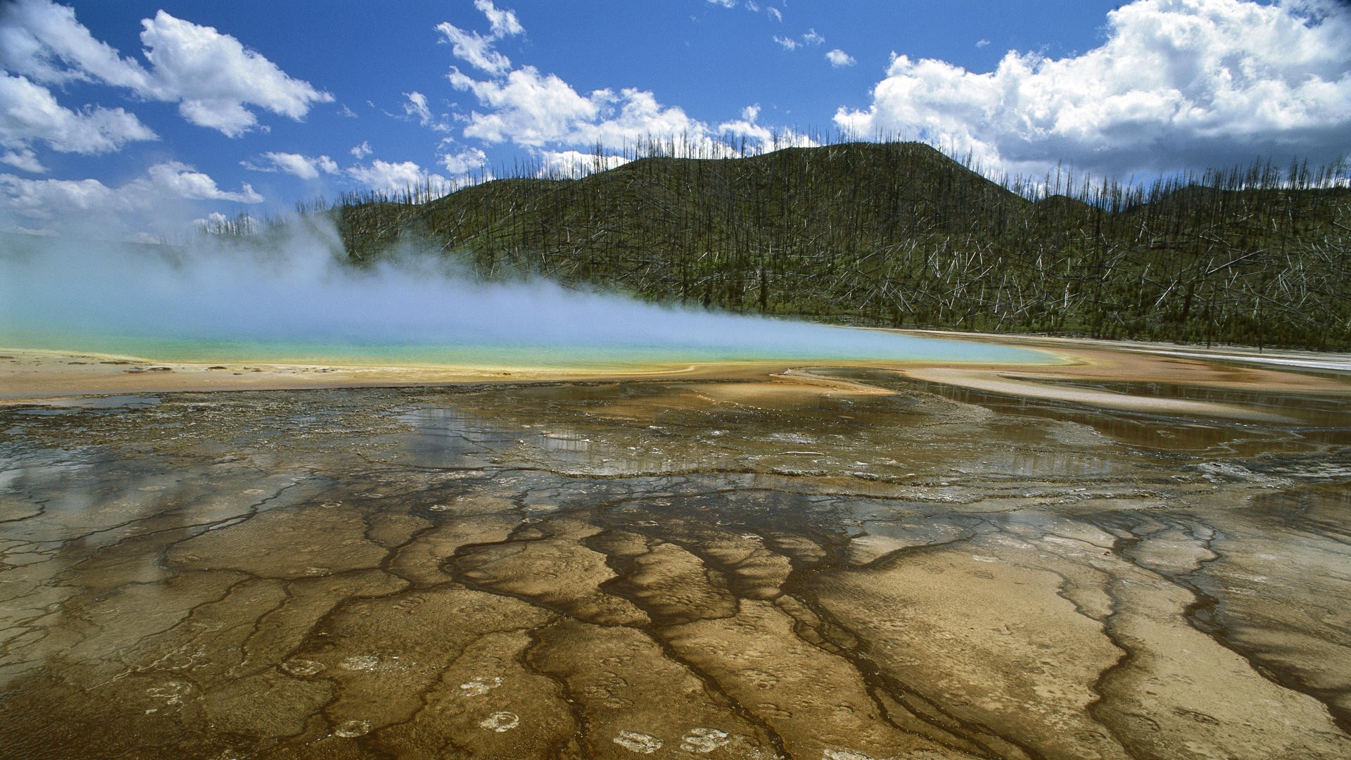 geothermal spring with steam