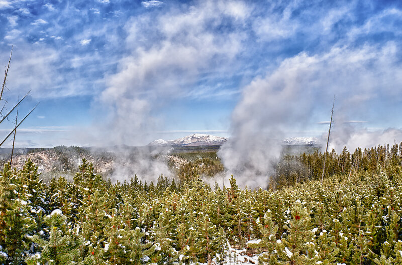 Geothermal Steam in Forest