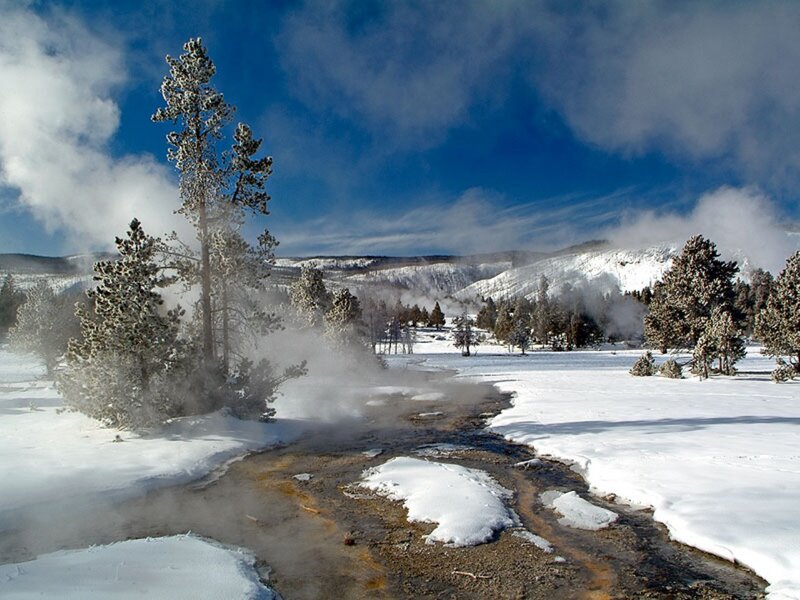 Geothermal Steam in Snow