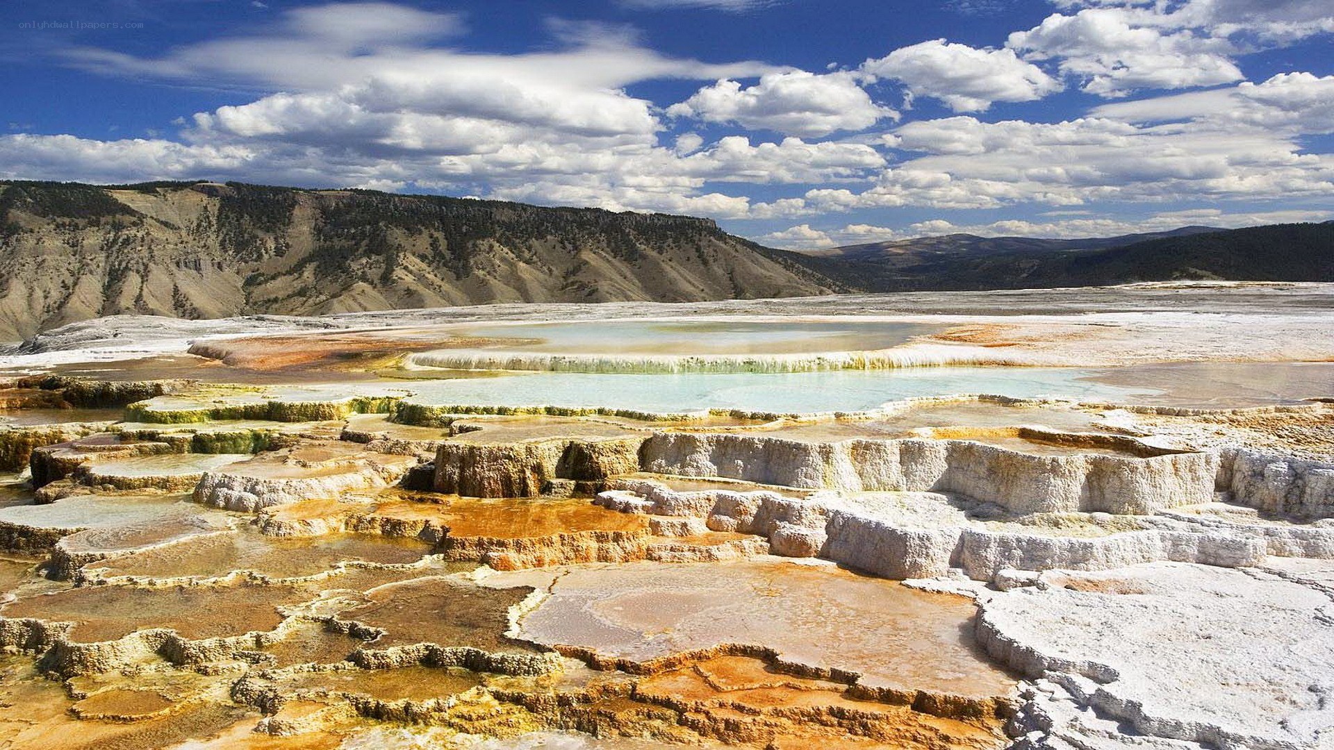 Geothermal terraces in Yellowstone