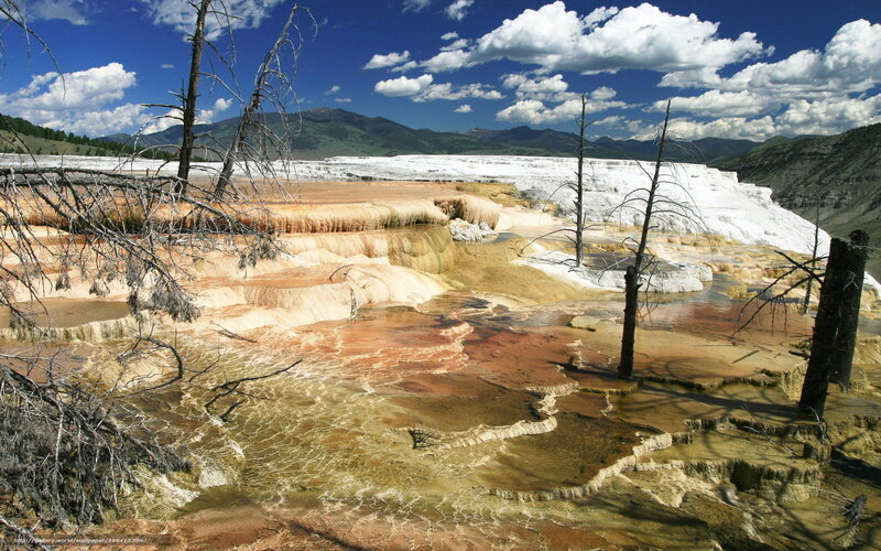Geothermal terraces in Yellowstone