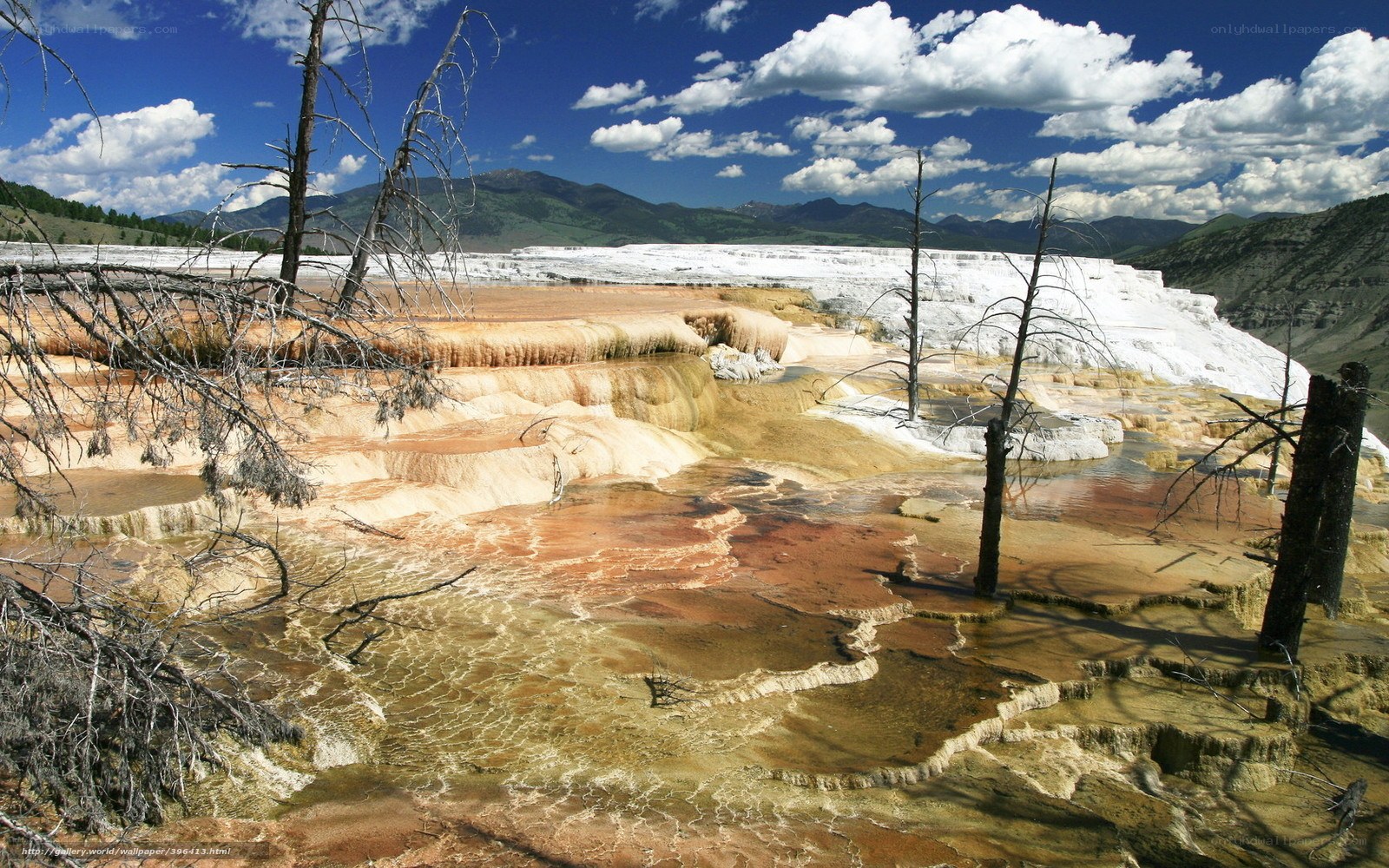Geothermal terraces in Yellowstone