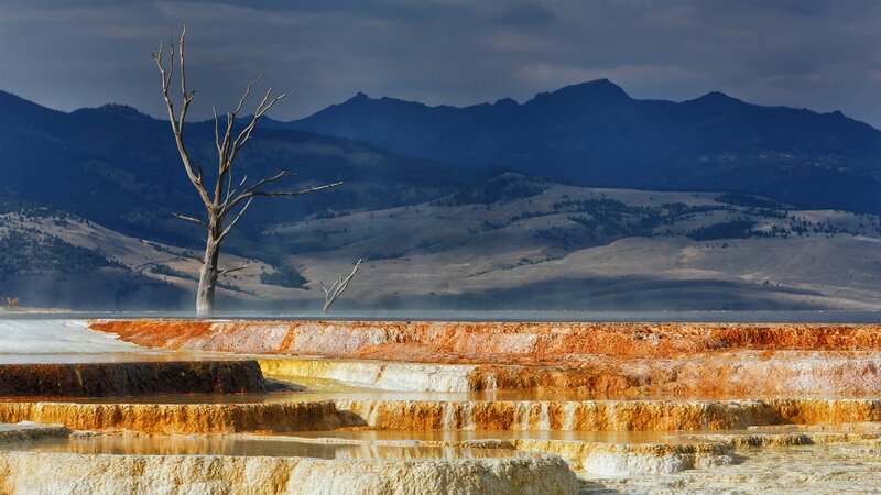 Geothermal terraces with dead tree