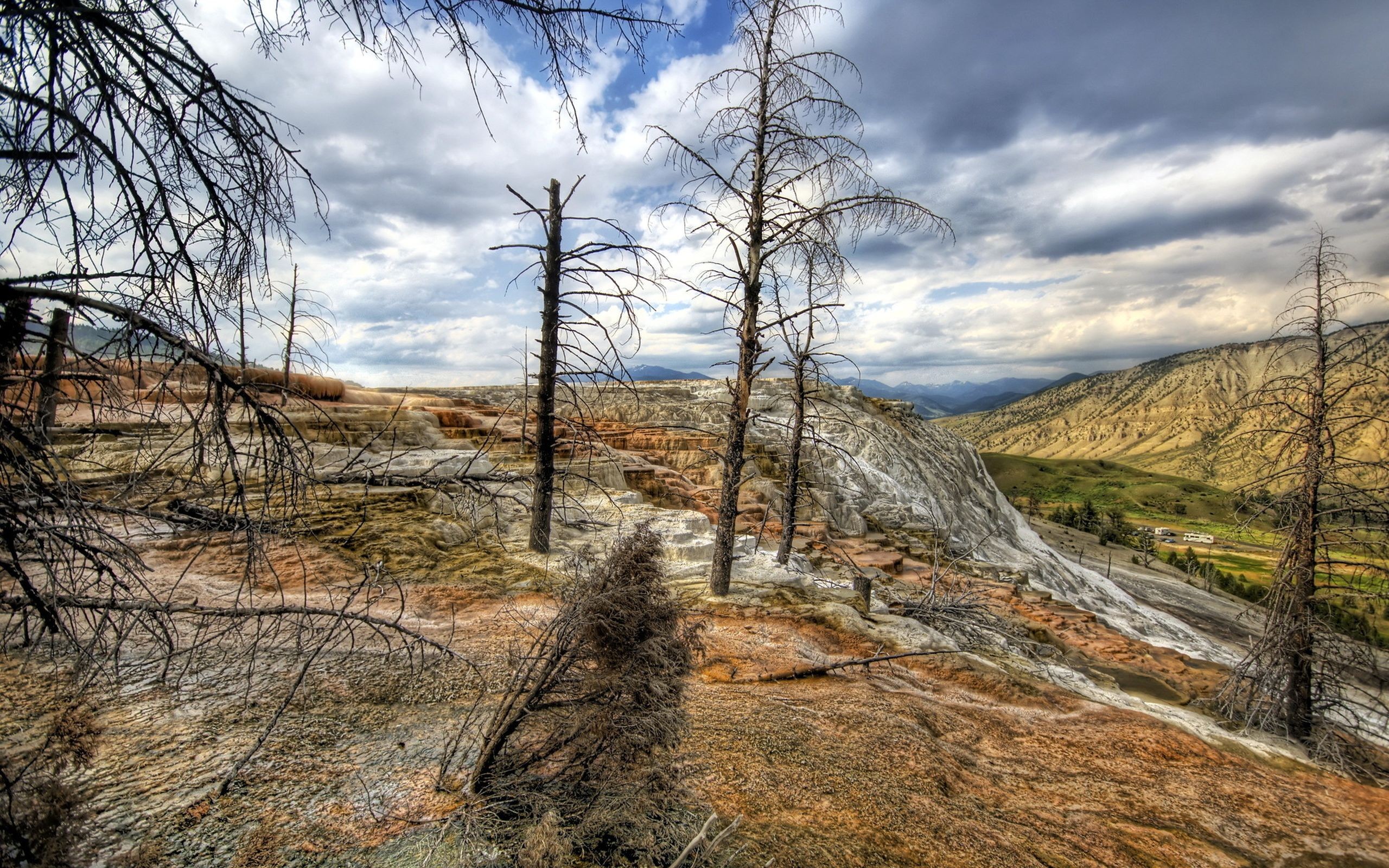 Geothermal terraces with dead trees