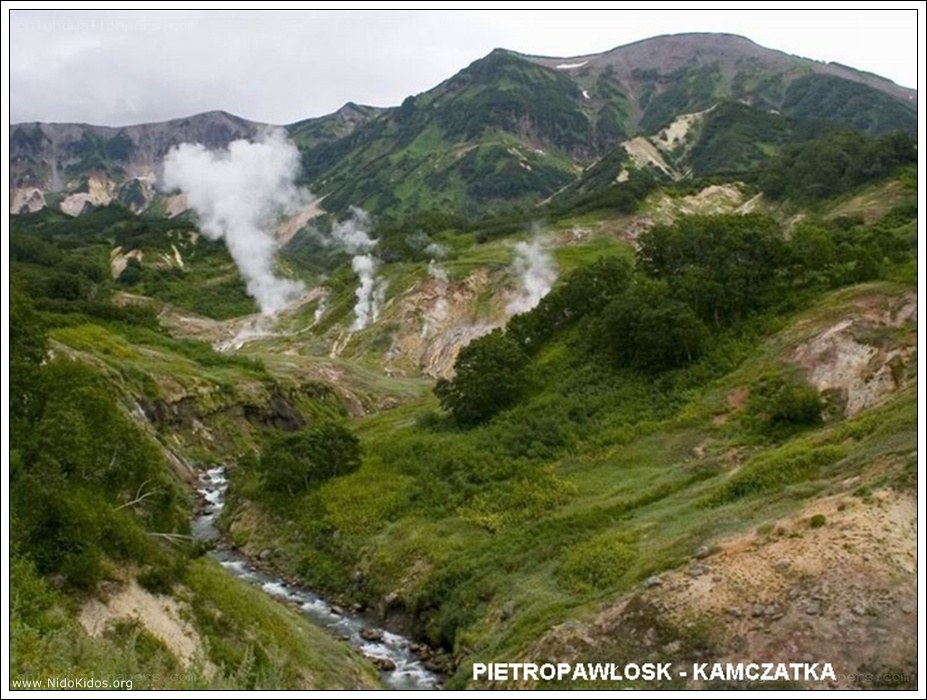 Geothermal valley in Kamchatka