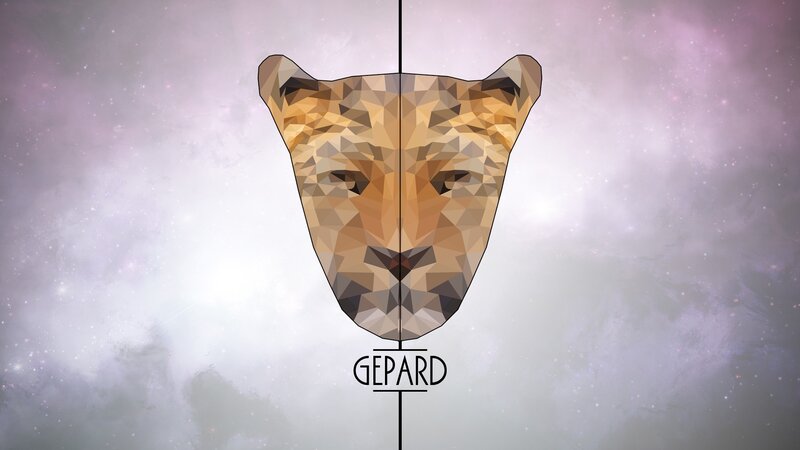 Gepard Face