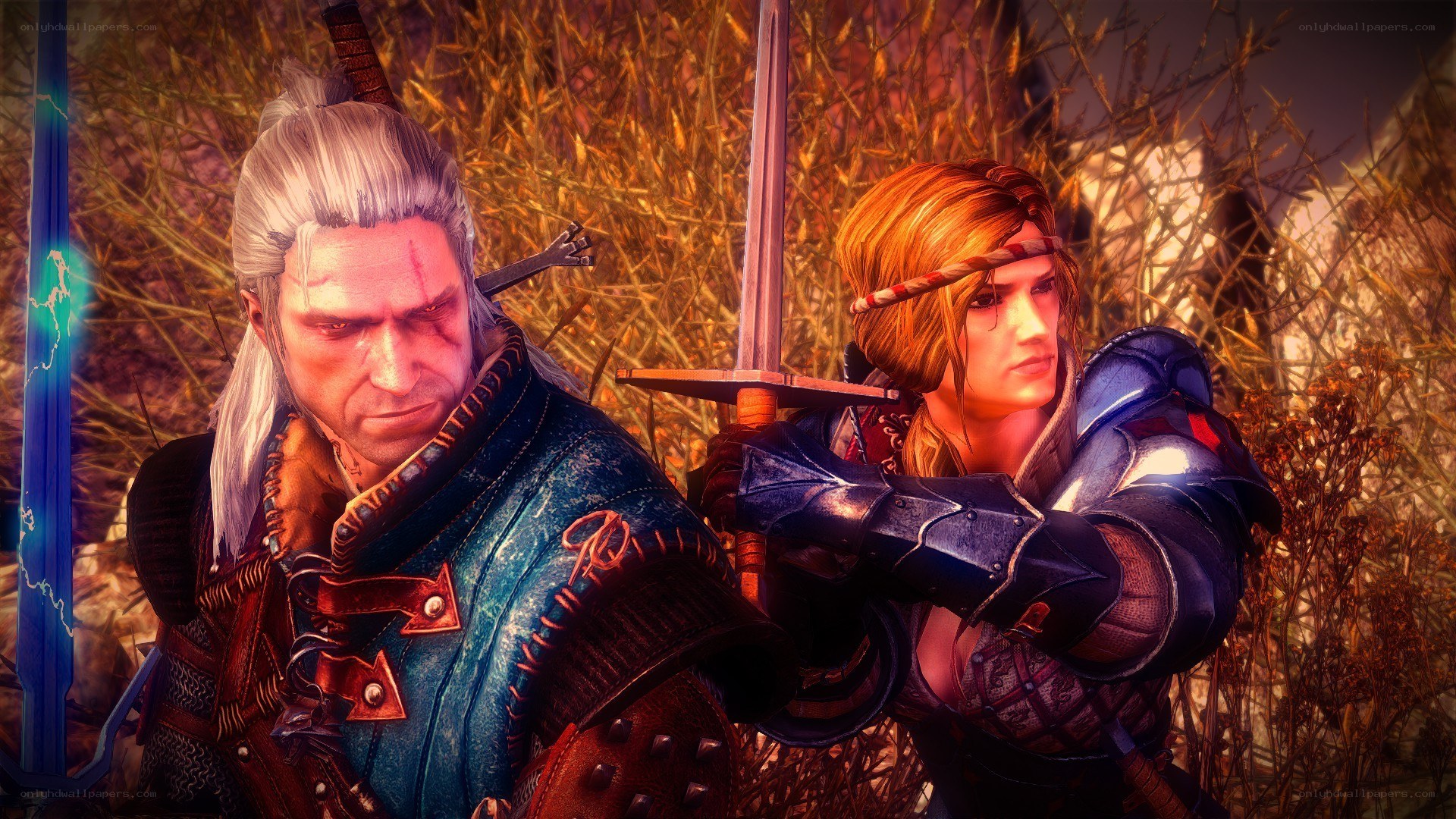 Geralt and Yennefer in a field
