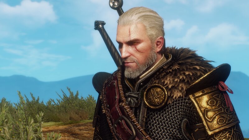Geralt of Rivia — Blue, Serious