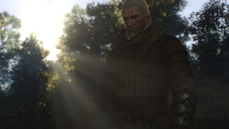 Geralt of Rivia — Brown, Dramatic, Afternoon