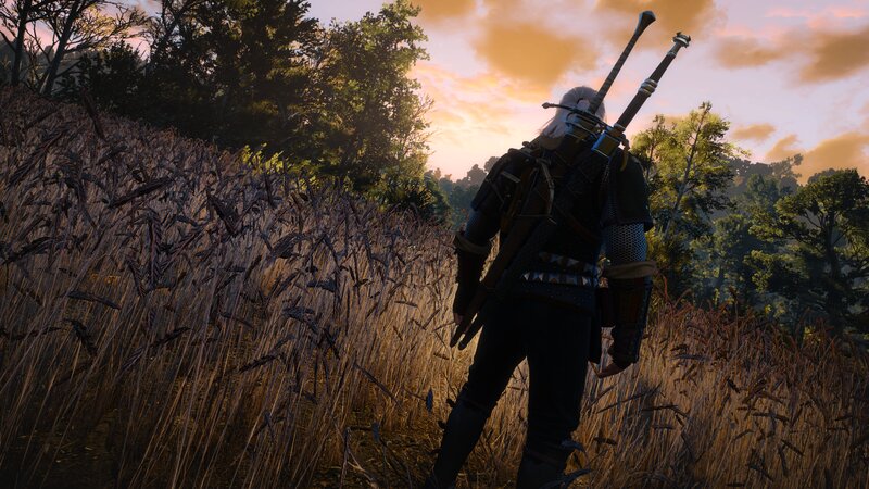 Geralt of Rivia — Brown, Serene