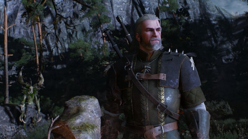 Geralt of Rivia — Gray, Serious, Night